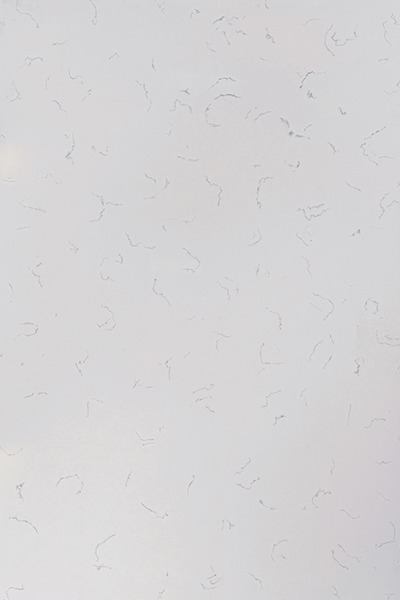 EQ-Slab-Image_Whisper-Frost
