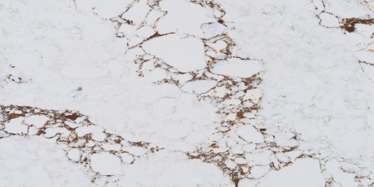EQ_Detail-Image_Blanco-Bronze-800x400